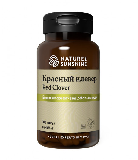 Красный Клевер - Red Clover